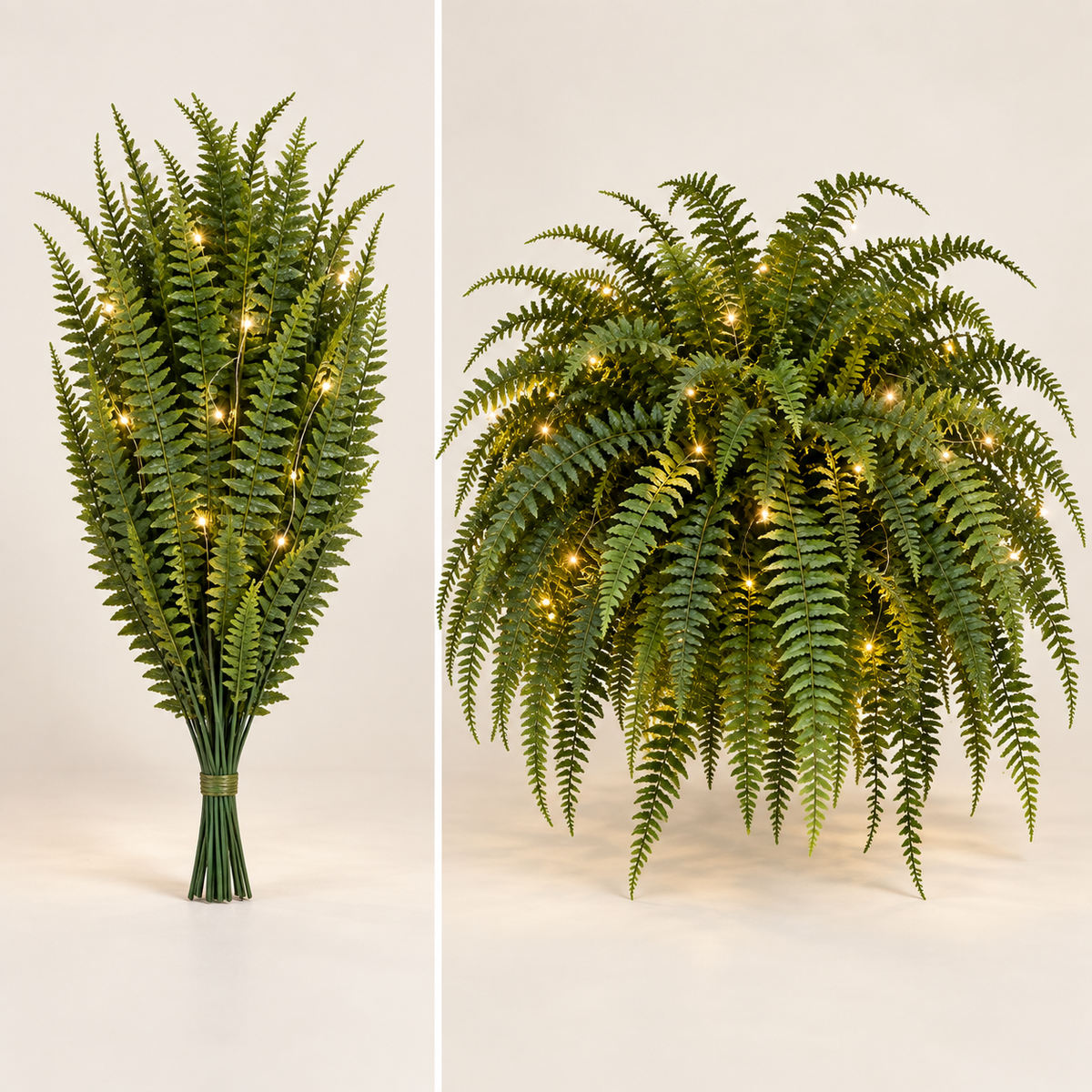 Flexible Boston fern stems shown compact for shipping and shaped into a full cascading display