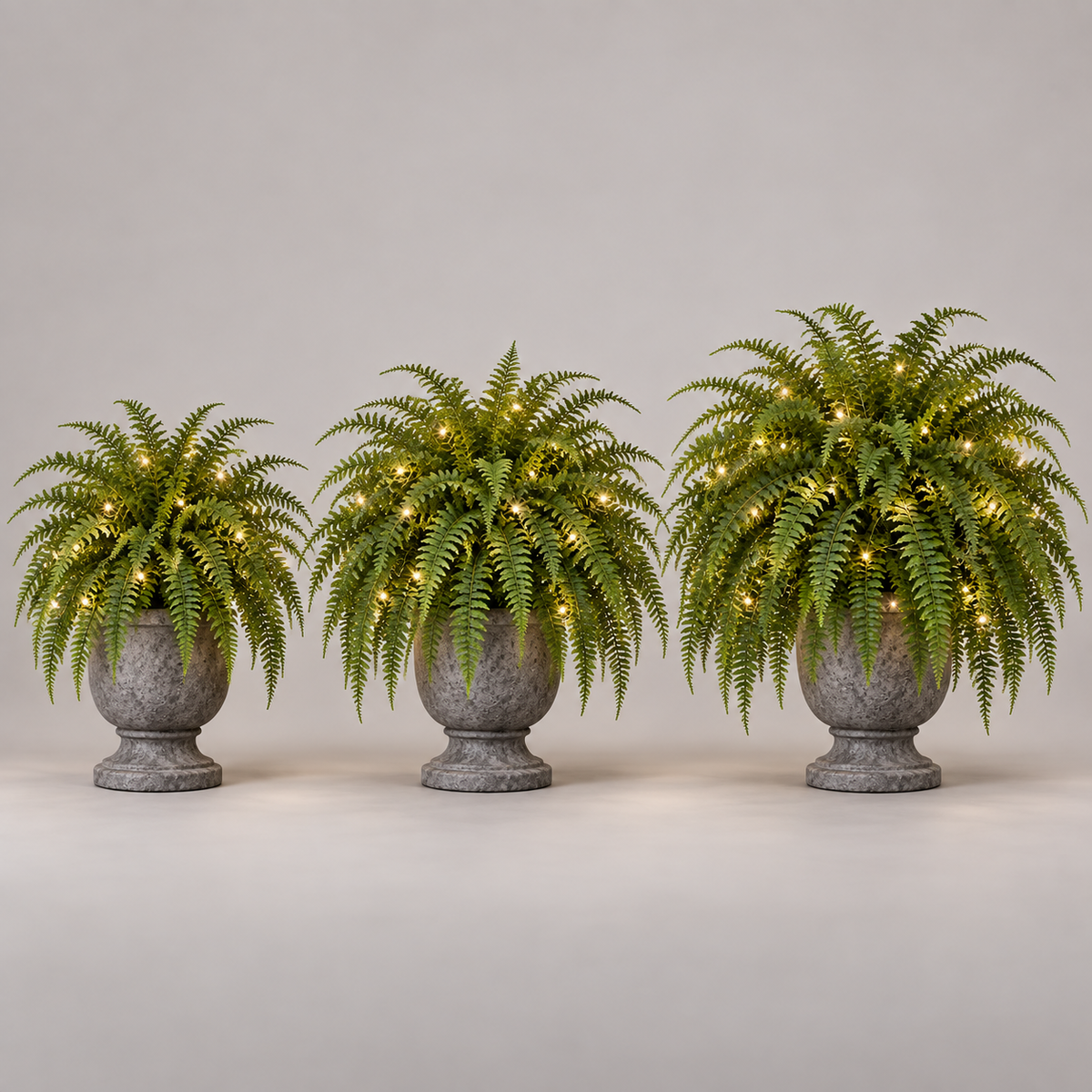 Three Boston fern planter fullness levels representing two, four, and six bundle arrangements