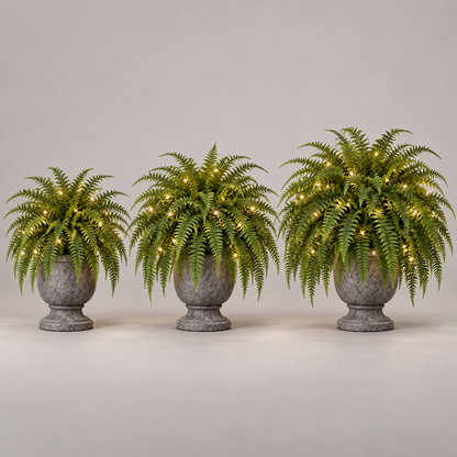 Three Boston fern planter fullness levels representing two, four, and six bundle arrangements