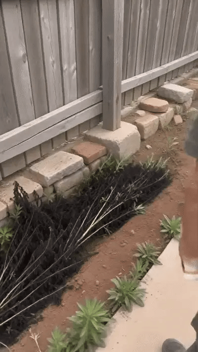 🔥2026 SALE - Fast-Acting Natural Weed & Grass Killer Spray