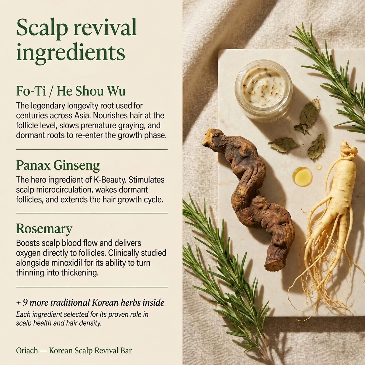 Oriach Korean Scalp Revival Bar ingredient illustration
